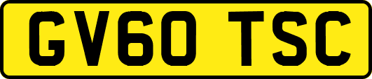 GV60TSC