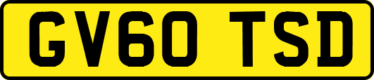 GV60TSD