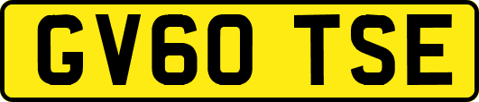 GV60TSE