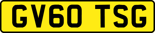 GV60TSG