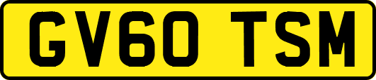 GV60TSM
