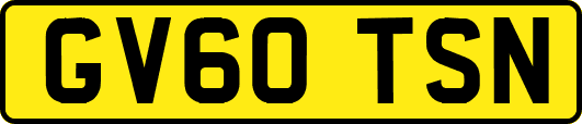 GV60TSN