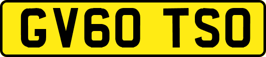 GV60TSO