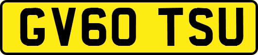 GV60TSU