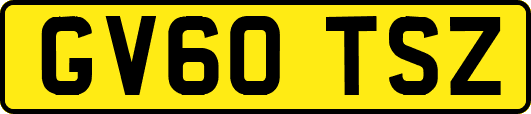 GV60TSZ