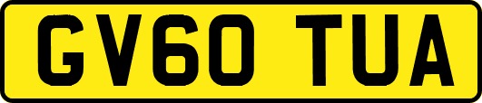 GV60TUA