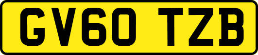 GV60TZB