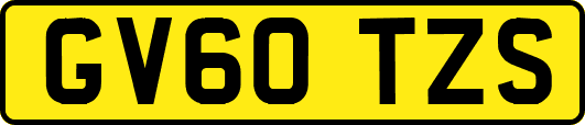 GV60TZS