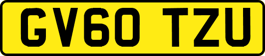 GV60TZU