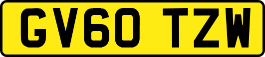 GV60TZW