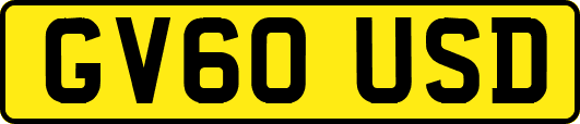 GV60USD