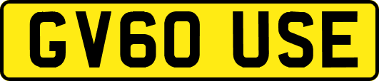 GV60USE