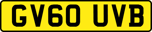 GV60UVB