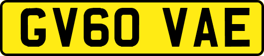 GV60VAE