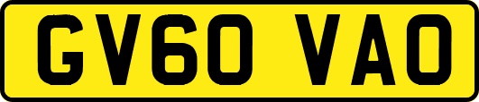GV60VAO