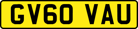 GV60VAU