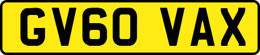 GV60VAX