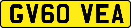 GV60VEA