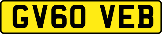 GV60VEB