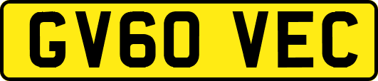 GV60VEC