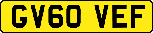 GV60VEF