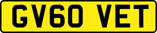GV60VET