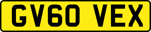GV60VEX