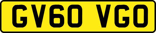 GV60VGO