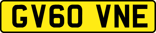 GV60VNE