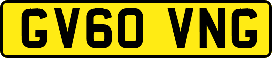GV60VNG