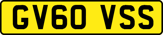 GV60VSS