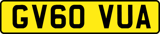 GV60VUA