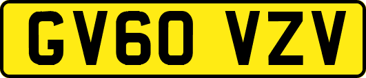 GV60VZV