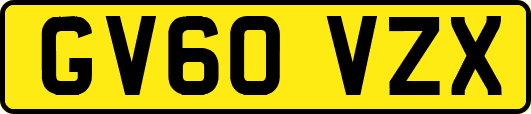 GV60VZX