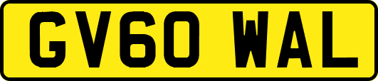 GV60WAL