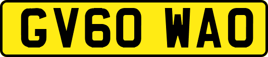 GV60WAO