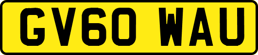 GV60WAU