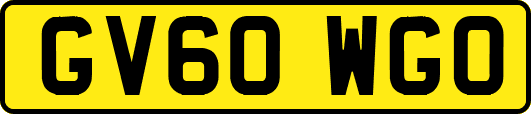 GV60WGO