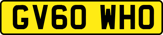 GV60WHO