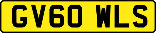 GV60WLS