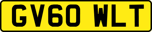GV60WLT
