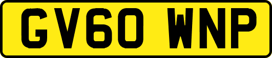 GV60WNP