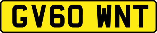 GV60WNT
