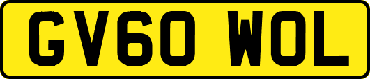 GV60WOL