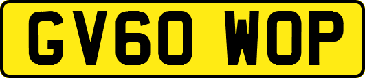 GV60WOP