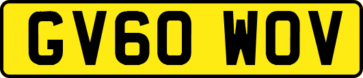GV60WOV