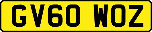 GV60WOZ