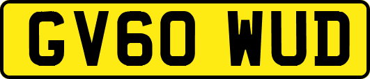 GV60WUD