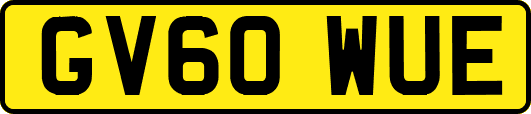 GV60WUE