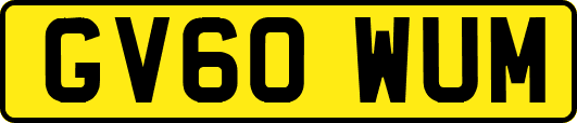 GV60WUM